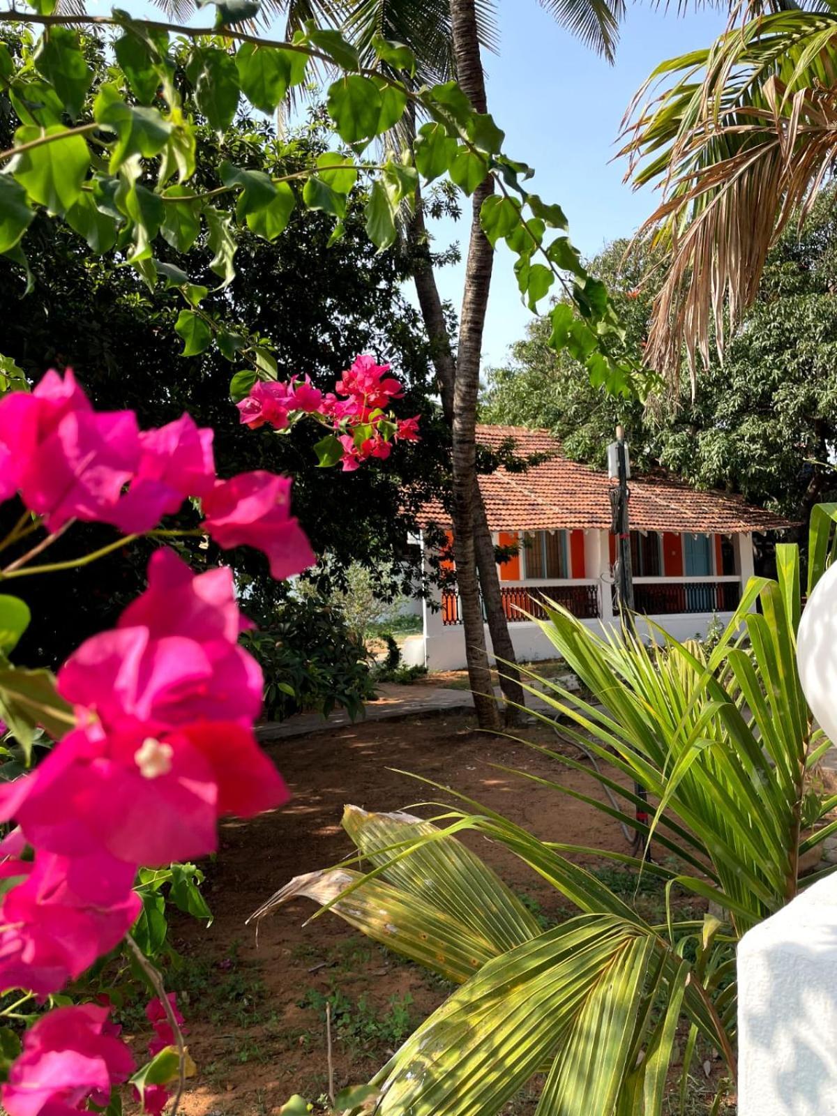 Papilio Beach Front Cottages-Tbv Baga Dış mekan fotoğraf